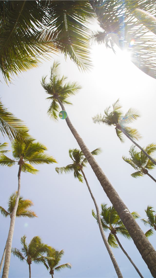 640x1136 Summer Fun - juan dolio iPhone Wallpaper