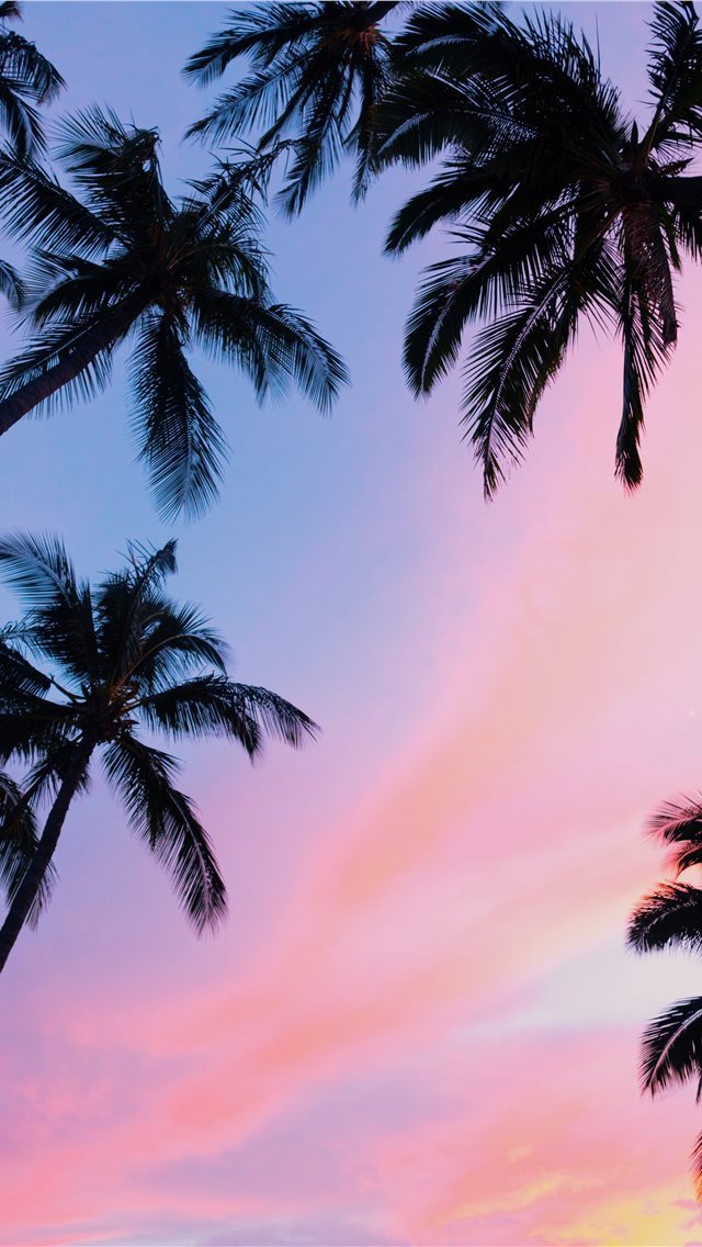 640x1136 Kihei  United States -  iPhone Wallpaper