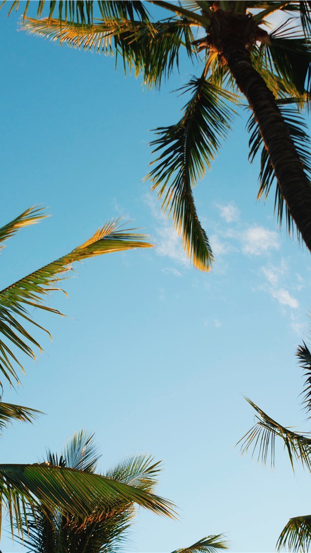 640x1136 Kihei  United States - hawaii iPhone Wallpaper