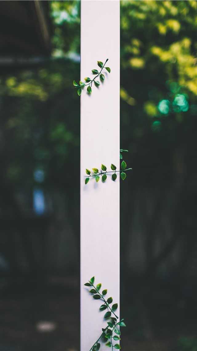 640x1136 Leaves - leafe iPhone Wallpaper