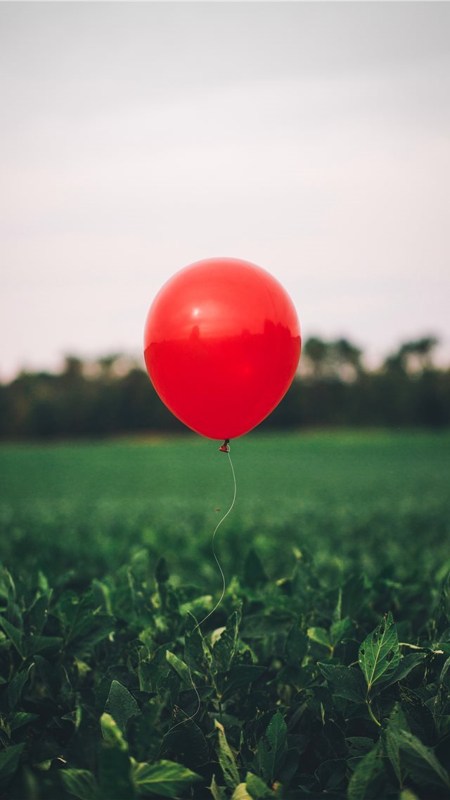 640x1136 you’ll sink too -  iPhone Wallpaper