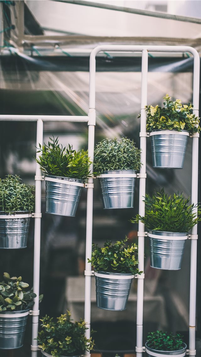 640x1136 composition - composition iPhone Wallpaper