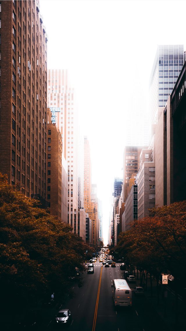 640x1136 Autumn in Tudor City  - skyline iPhone Wallpaper