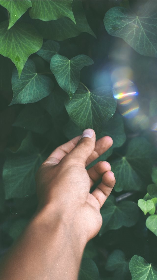 640x1136 Goodbye - hand iPhone Wallpaper