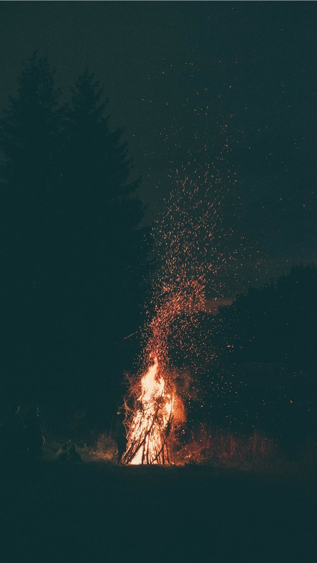 640x1136 Fire is silence - flame iPhone Wallpaper