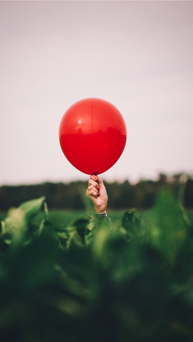 640x1136 Biggest Tomato in the Field! - leaves iPhone Wallpaper