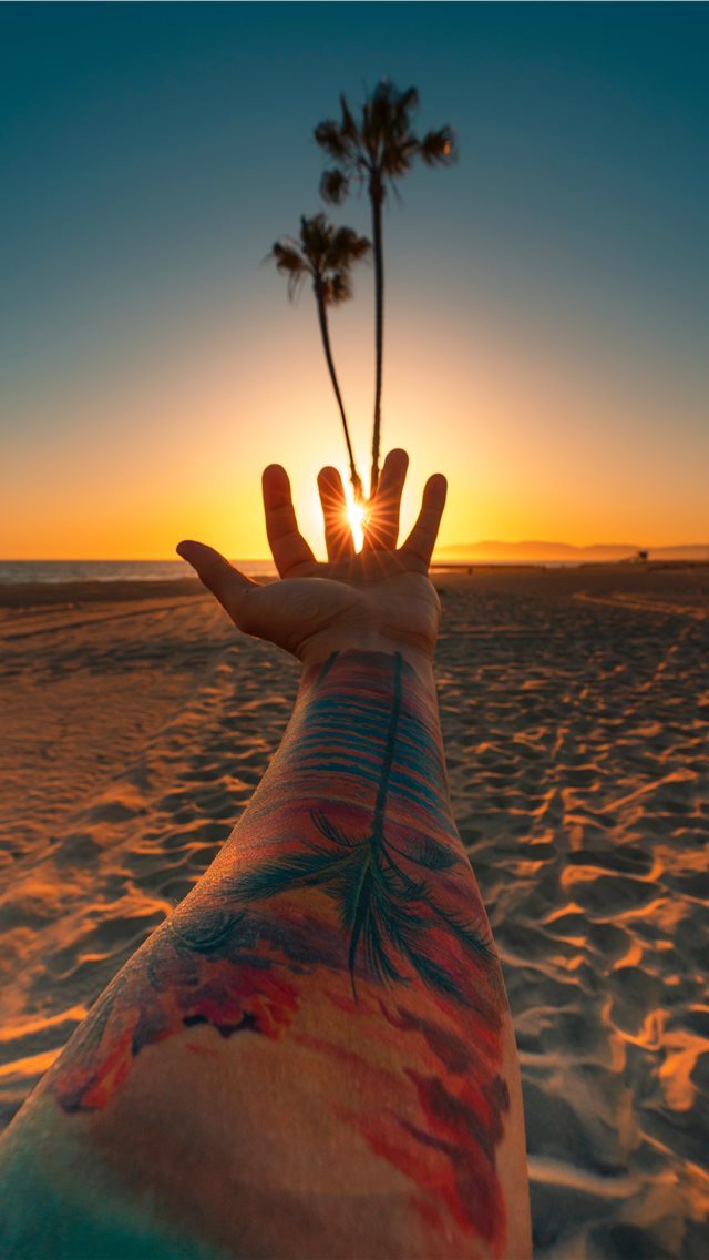 640x1136 Palms Up - los angeles iPhone Wallpaper