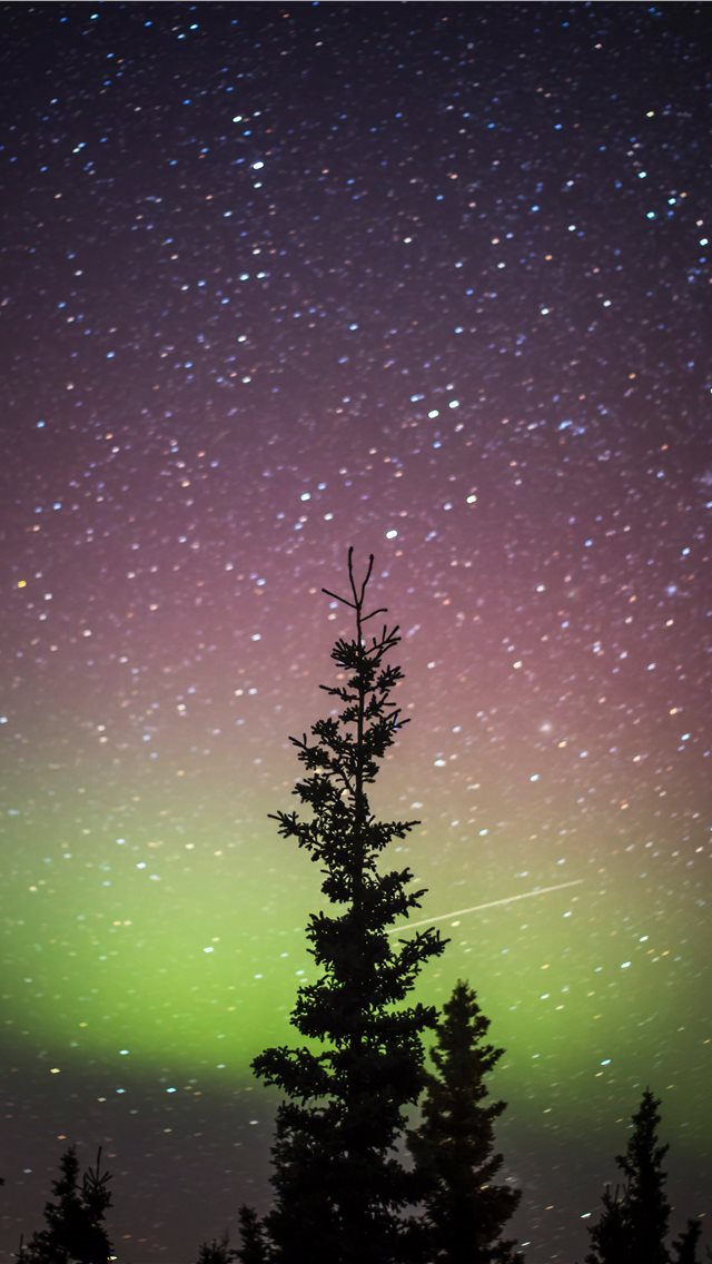 640x1136 Space Needles - night iPhone Wallpaper