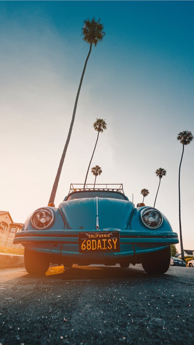640x1136 You’re a daisy if you do - volkswagen iPhone Wallpaper