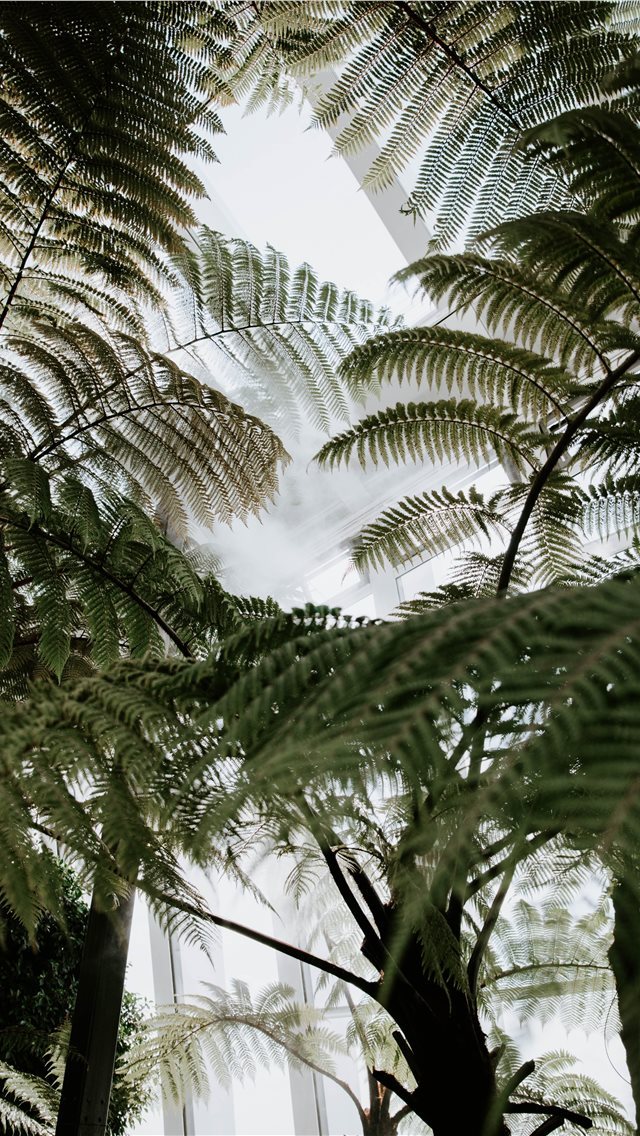 640x1136 The Garden In The Sky - united kingdom iPhone Wallpaper