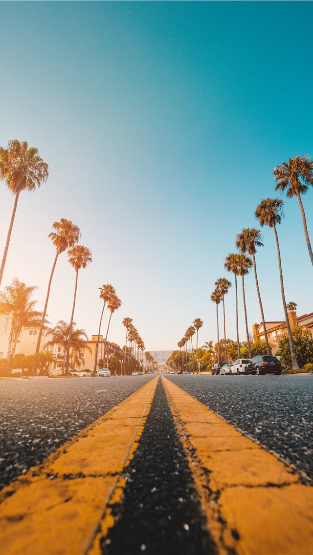 640x1136 Follow the Yellow Palmed Road - road iPhone Wallpaper