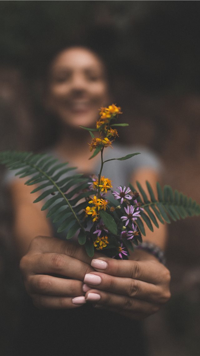 640x1136 Great Smoky Mountains  United States - plant iPhone Wallpaper