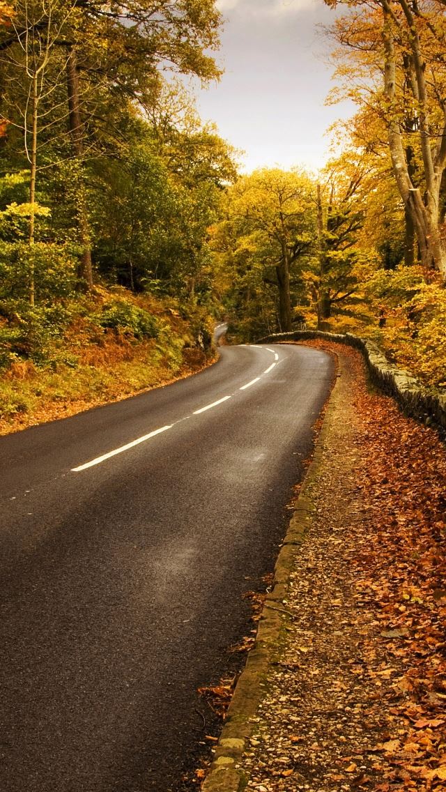 640x1136 Autumn Road 2 - tree iPhone Wallpaper