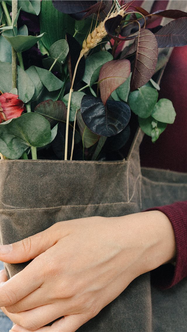 640x1136 bag - hand iPhone Wallpaper
