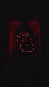 Timișoara  Romania wallpaper