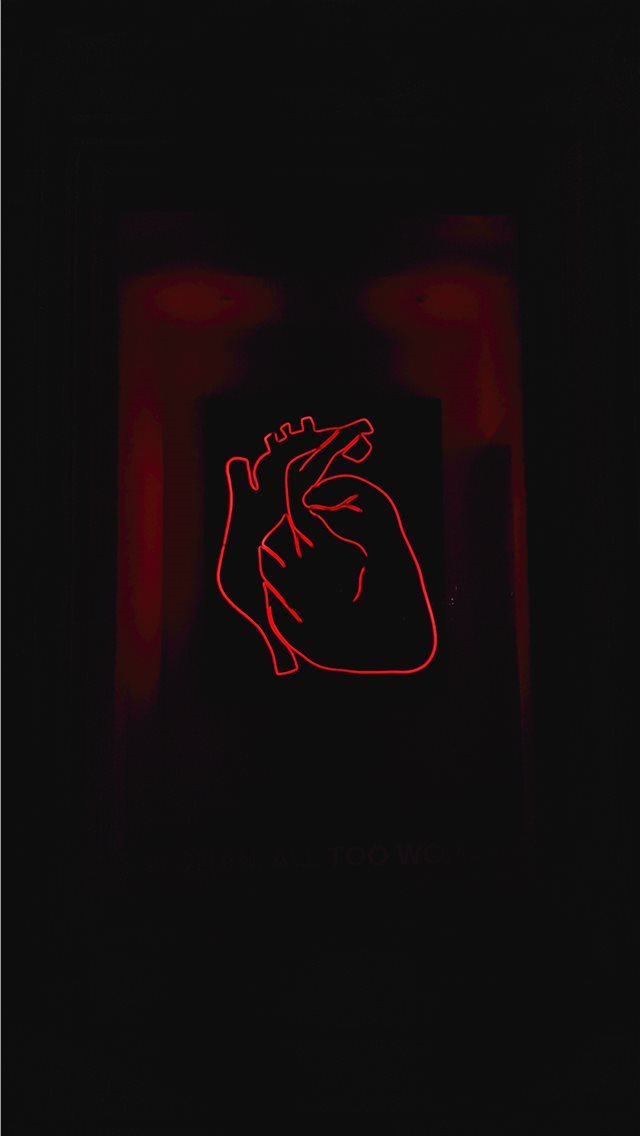 640x1136 Timișoara  Romania - love iPhone Wallpaper