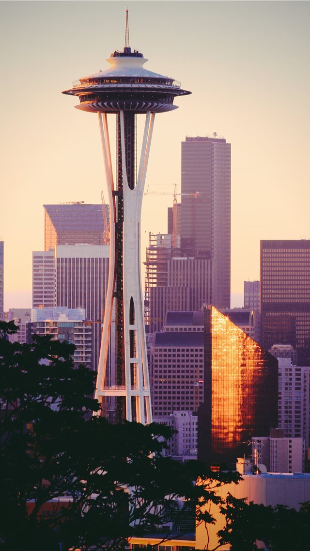 640x1136 SpaceNeedle in the Morning - washington iPhone Wallpaper