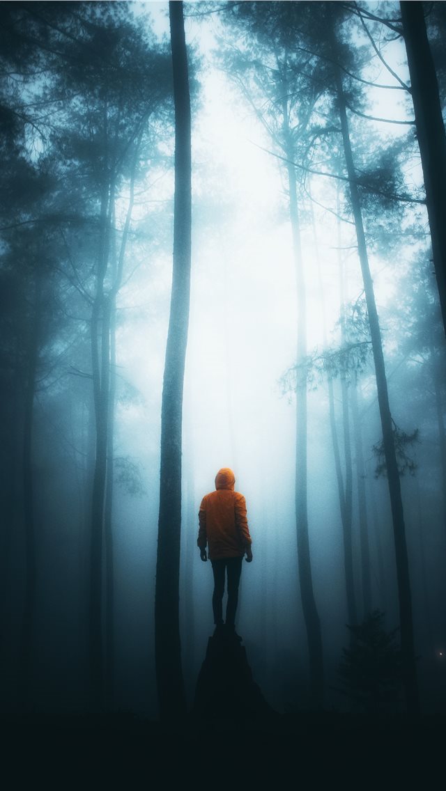 640x1136 Misty Night - indonesia iPhone Wallpaper