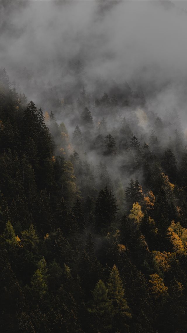 640x1136 The autumn - italy iPhone Wallpaper