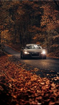 Fall Drives on Country Roads wallpaper