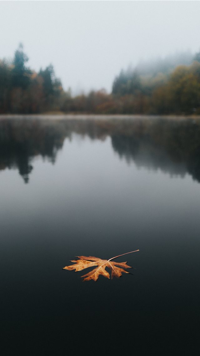 Floating iPhone wallpaper 