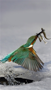 Capture the moment wallpaper