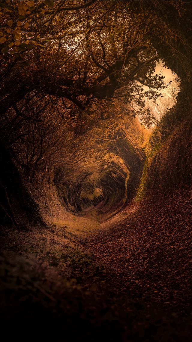 640x1136 Hobbit Shire - sussex iPhone Wallpaper
