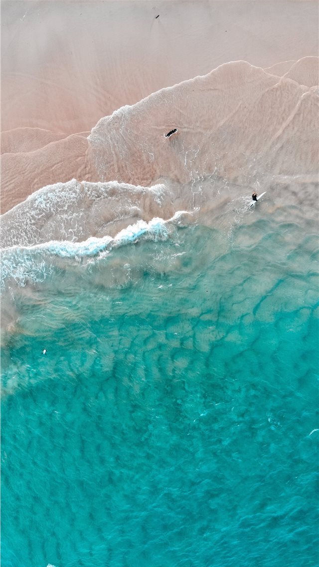 640x1136 The dog’s dream - gold coast iPhone Wallpaper