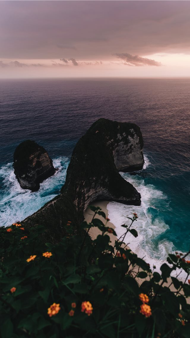 640x1136 T Rex - indonesia iPhone Wallpaper