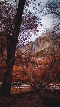 Best Yosemite national park iPhone HD Wallpapers - iLikeWallpaper