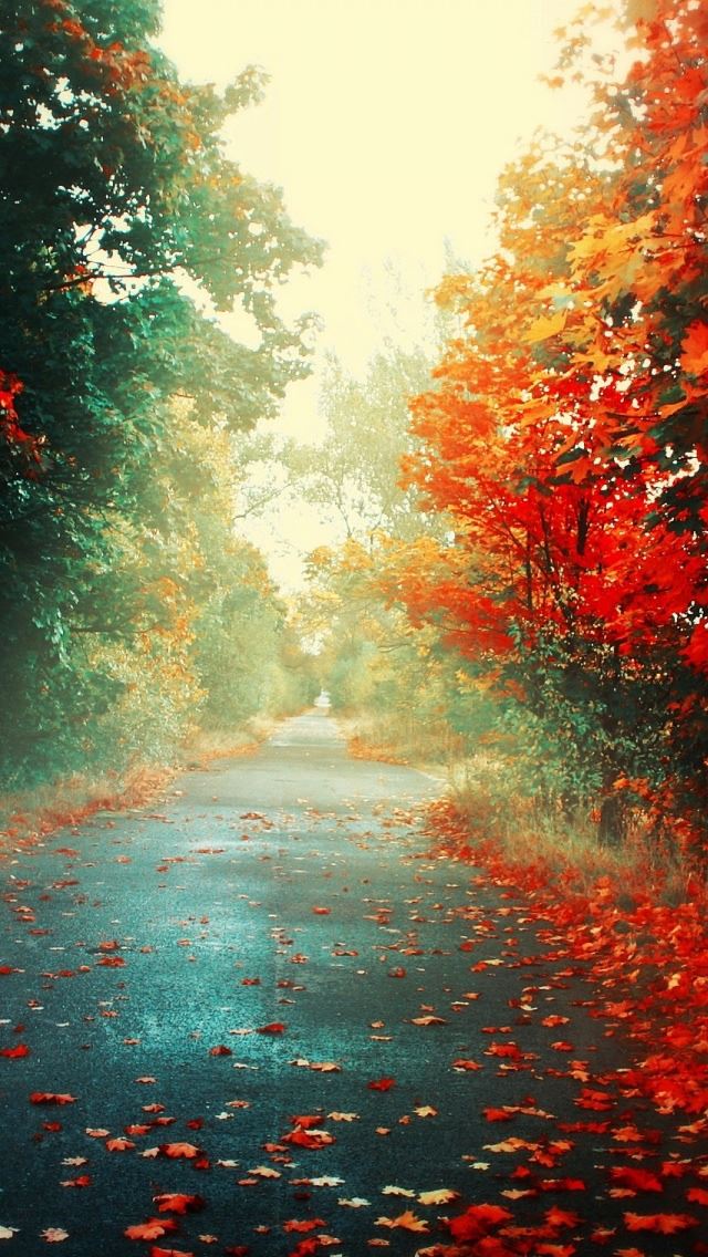 640x1136 Red Trees 2 - road iPhone Wallpaper