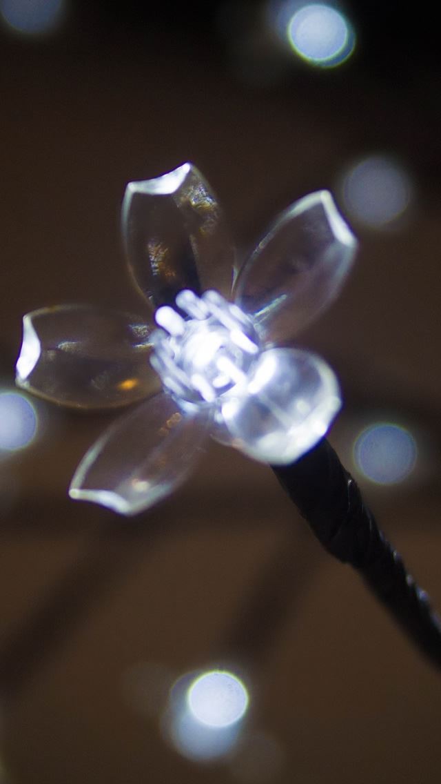 640x1136 Night Star - flower iPhone Wallpaper