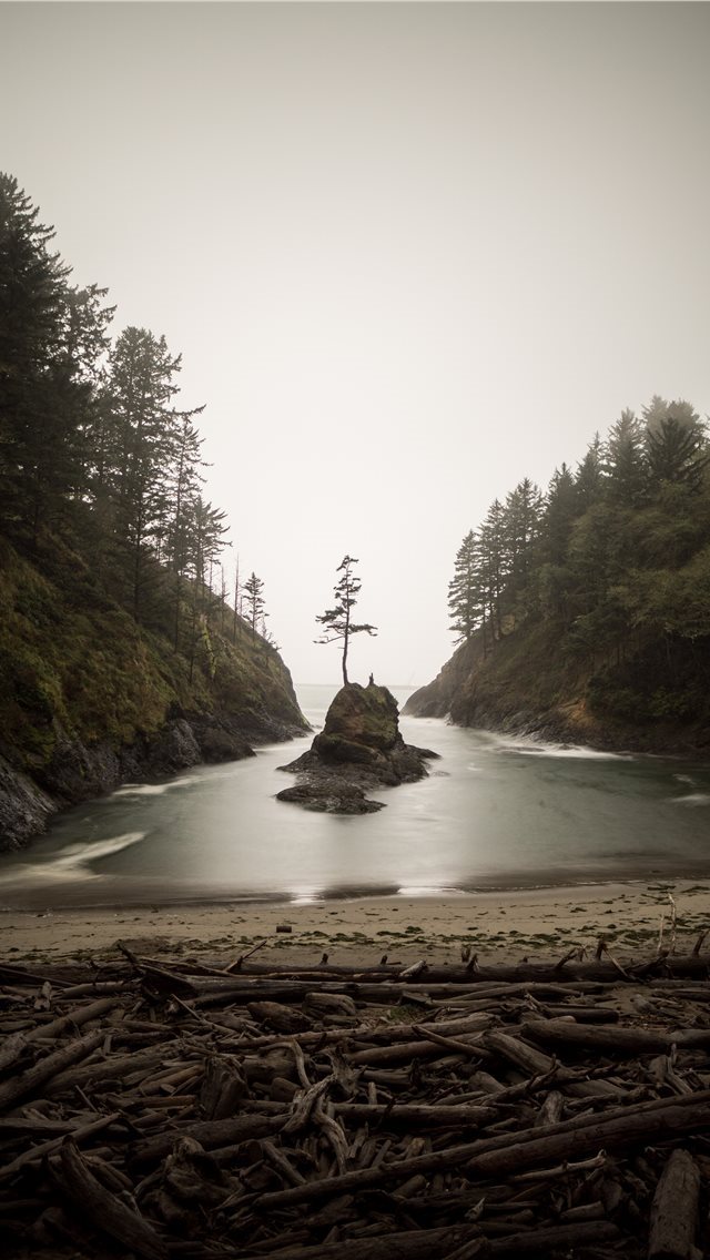 640x1136 island in water - log iPhone Wallpaper