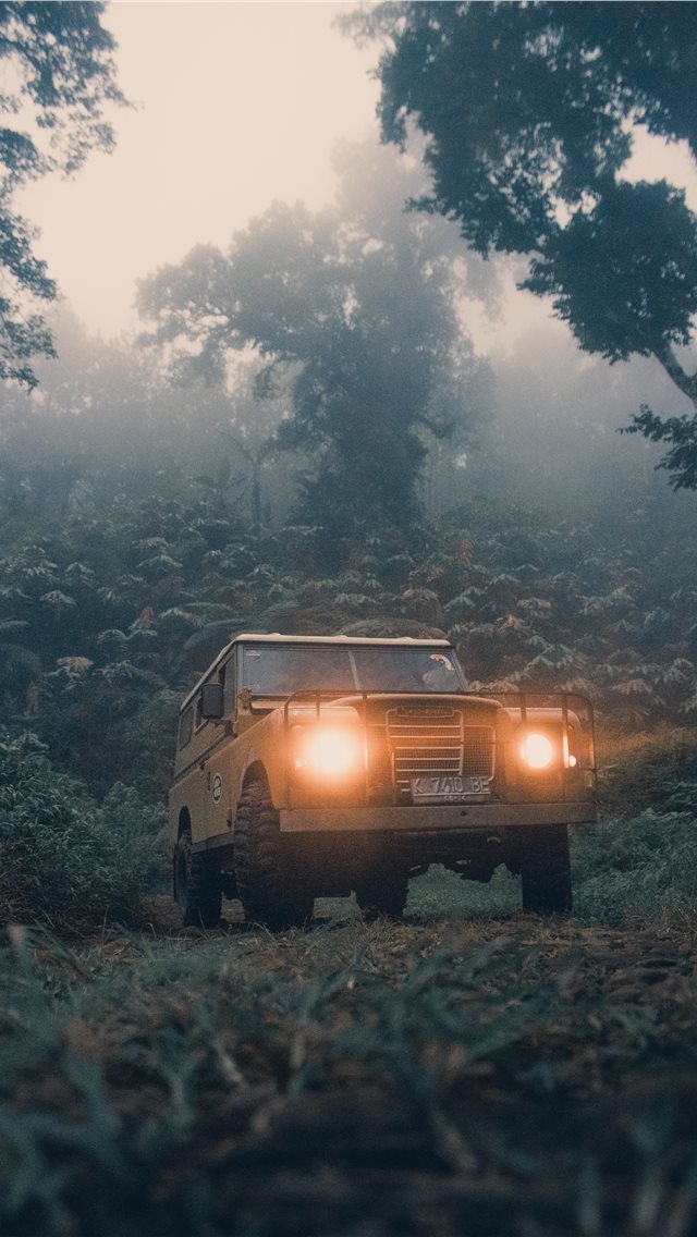 640x1136 Lost in forest - land rover iPhone Wallpaper