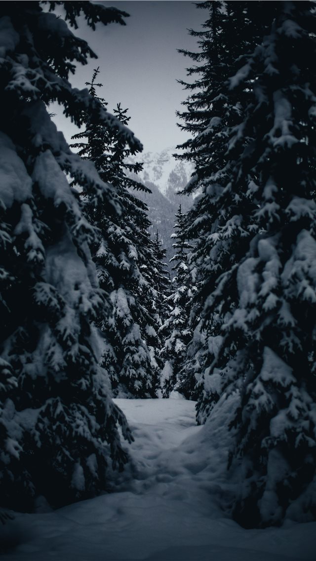 640x1136 Duffey Pass  Lillooet  Canada - canada iPhone Wallpaper