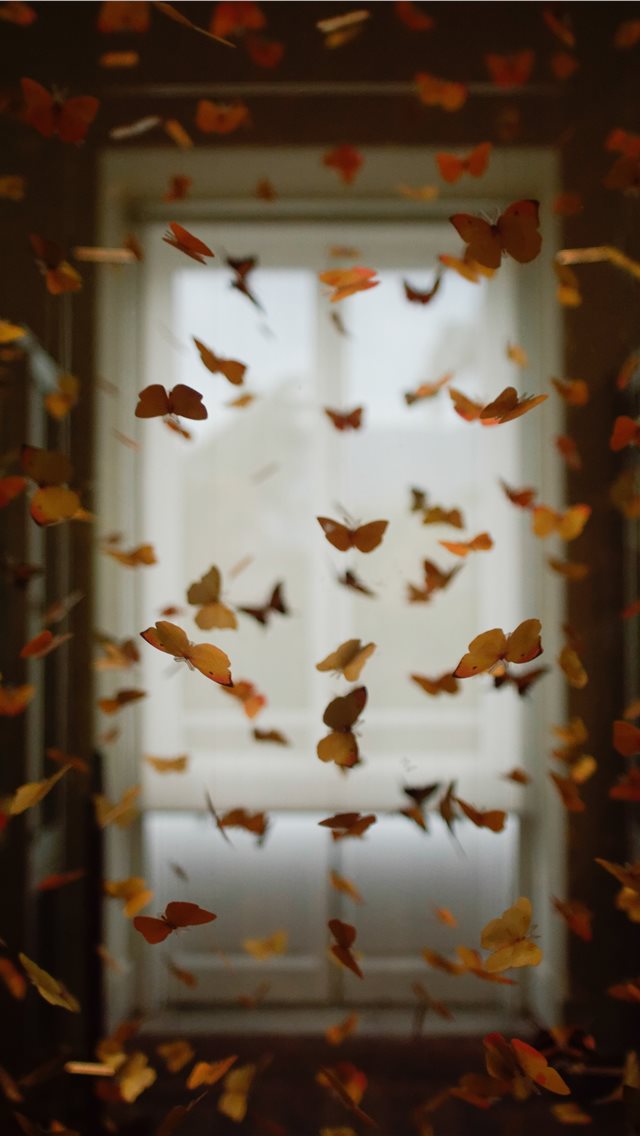 Butterfly room iPhone wallpaper 