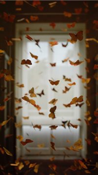 Best Butterfly Iphone Wallpapers Hd Ilikewallpaper