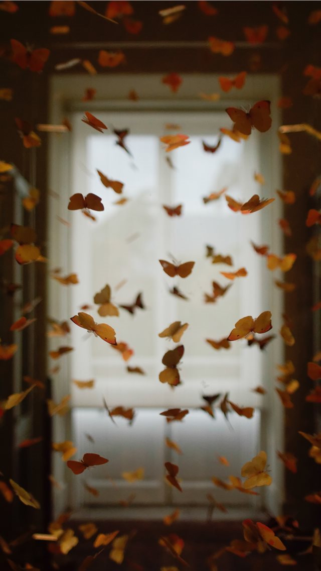 640x1136 Butterfly room - fantasy iPhone Wallpaper