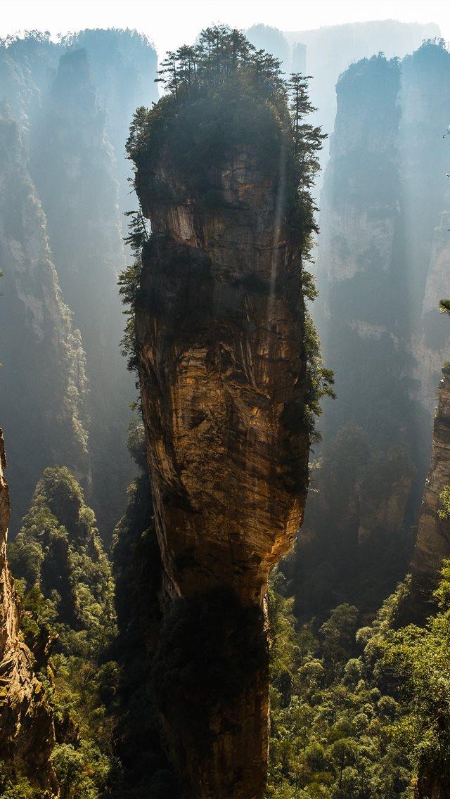 640x1136 green trees on brown cliff - china iPhone Wallpaper