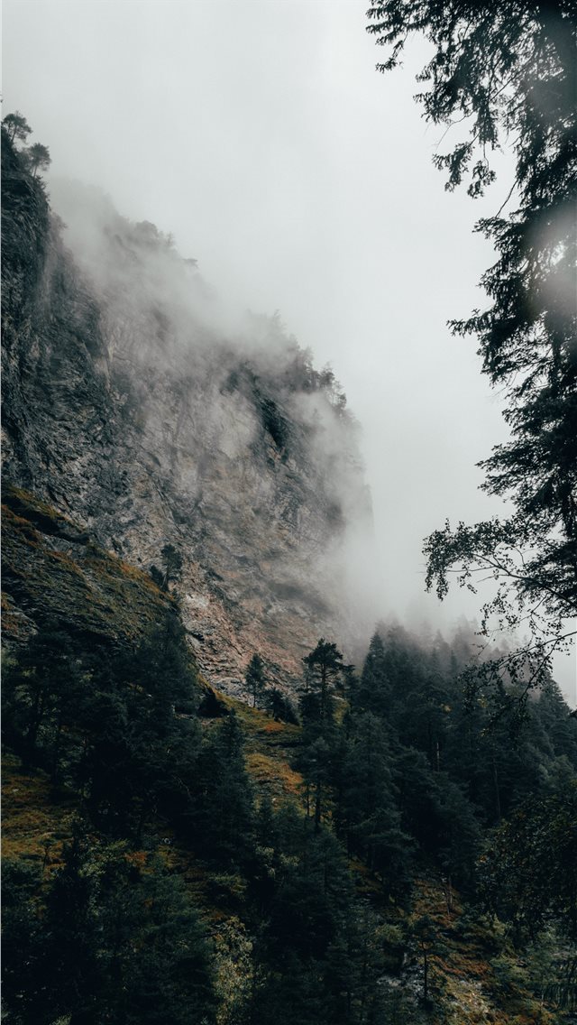 640x1136 Fog covered autumn forest - switzerland iPhone Wallpaper
