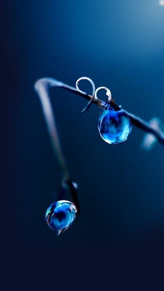 640x1136 Drops - fuzzy iPhone Wallpaper