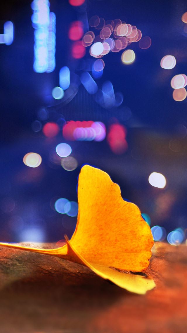 640x1136 Ginkgo biloba under the lights - lights iPhone Wallpaper