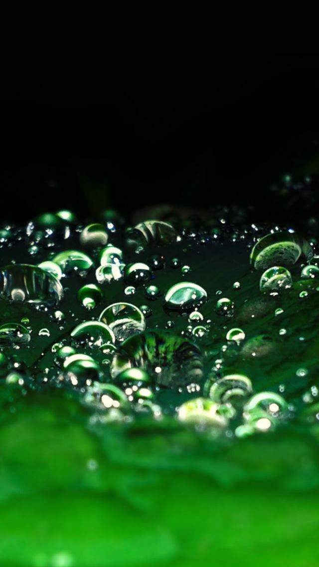 640x1136 Rain Drops 2 - bubble iPhone Wallpaper