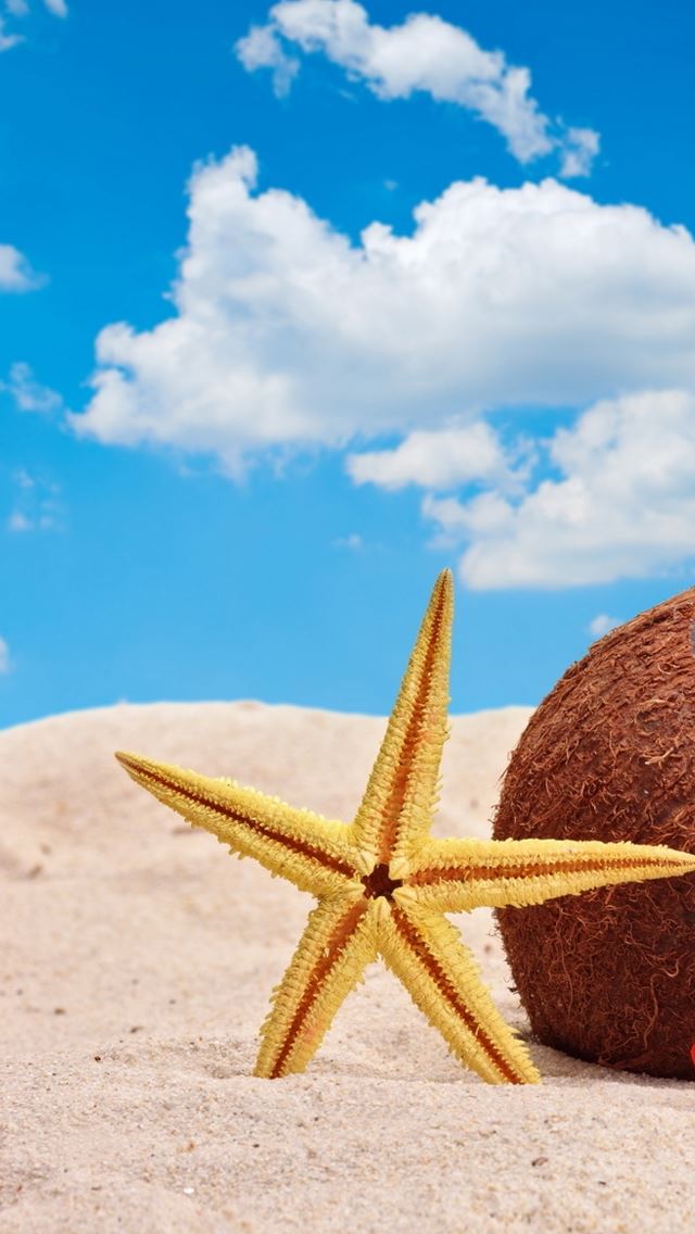 640x1136 Colourful Summer Accessories -  iPhone Wallpaper