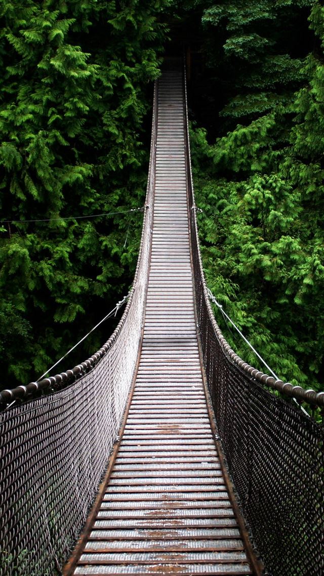 640x1136 Vintage bridge - extend iPhone Wallpaper