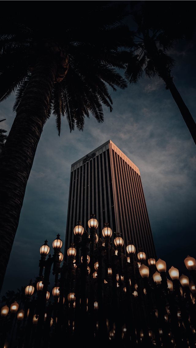 640x1136 low angle photography of white and black concrete ... - palm tree iPhone Wallpaper