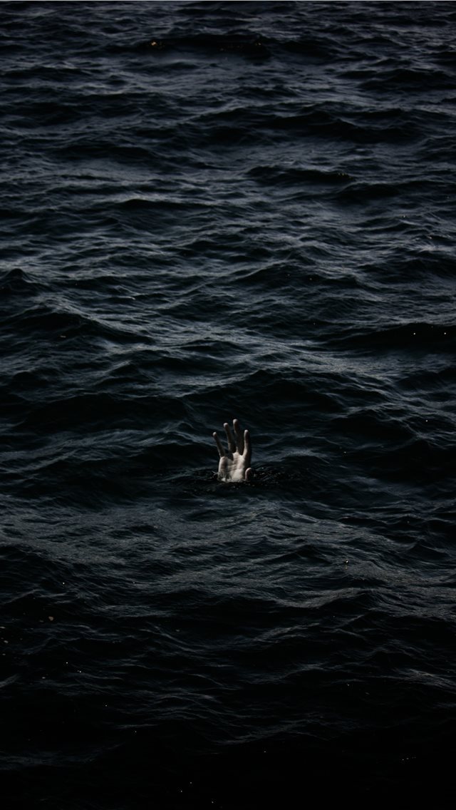 640x1136 human hand on body of water - bird iPhone Wallpaper
