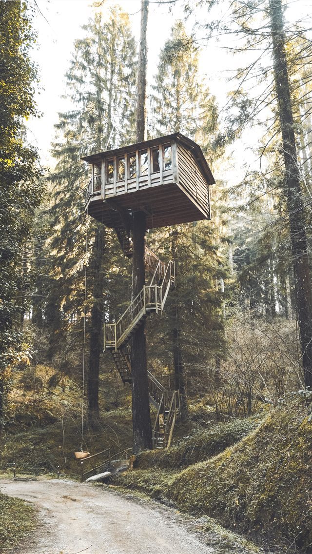 640x1136 gray and brown wooden tree houose - cabin iPhone Wallpaper