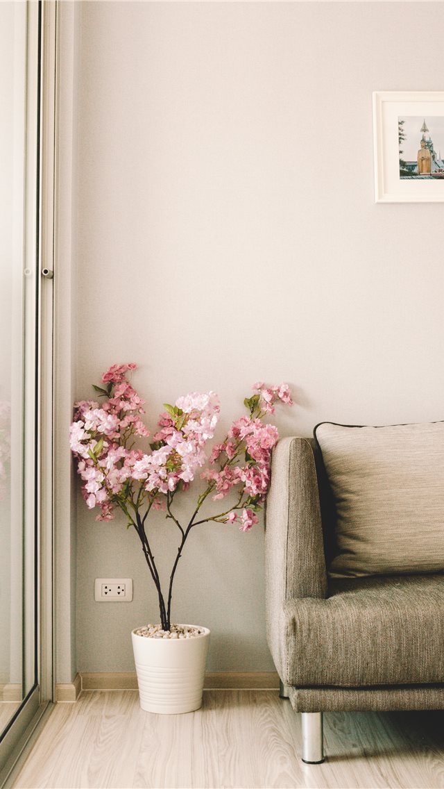 pink flowers beside sofa iPhone wallpaper 