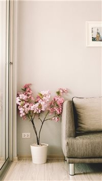 pink flowers beside sofa wallpaper